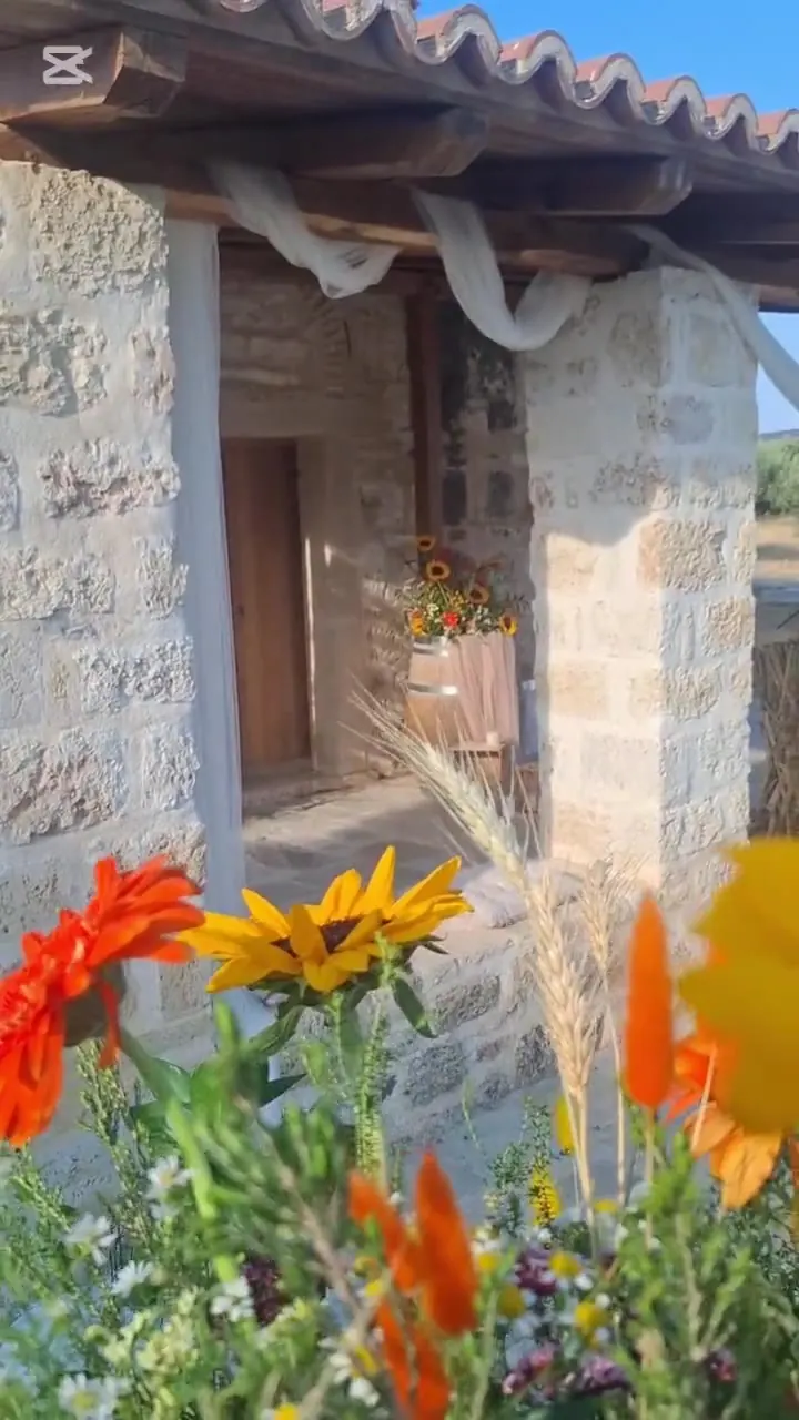 Στιγμιότυπα από το project